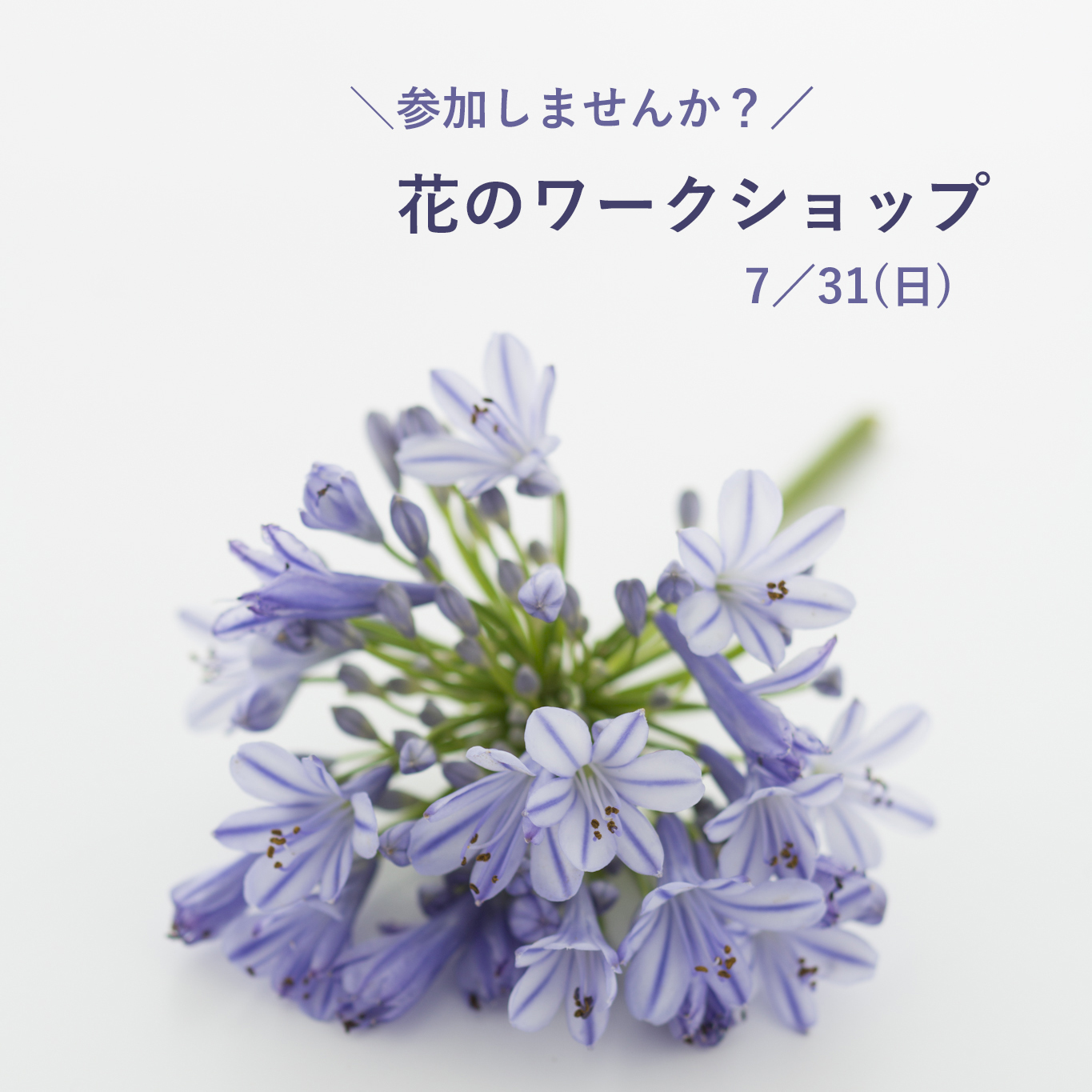花時間 Hana Jikan Twitter