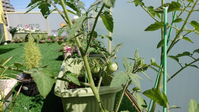 すたっと Stad Magazine Twitter