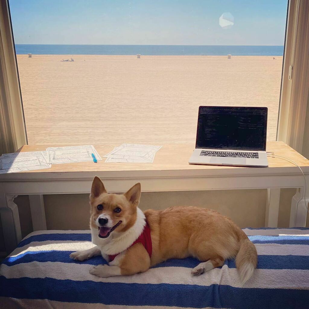 corgiceo's tweet image. #throwbackthursday to that time I was window corgi CEO on the beach for @DrawmaticAR 
.
.
#windowdog #corgismile #dogboss #corgibeachday #dogbeach #dogwatch instagr.am/p/CfvW0-muNYE/