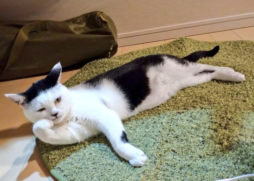 亜ヒャ tweet media