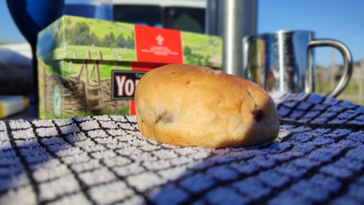 thealso's tweet photo. Morning from #PandaCamp https://t.co/U1UIq14XzN