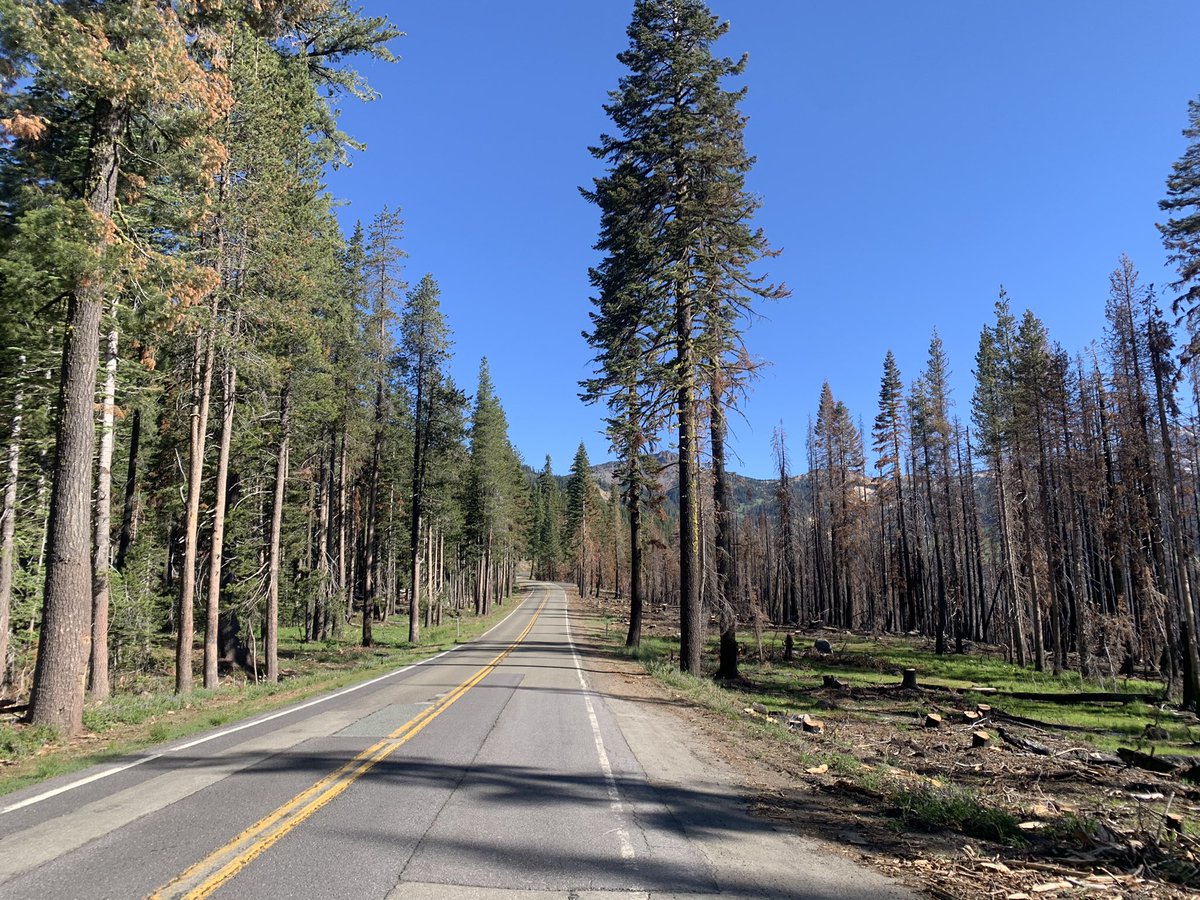 JKPeirson's tweet photo. Hunter and I hiked Lassen Volcanic NP today. Life is all about perspective! Is it sad the trees on the right burned? Is it lucky the trees on the left didn’t burn? Or is the road a hero for stopping a huge forest fire? Every day we have the same opportunity to create our mindset! https://t.co/yWnUINlfoY