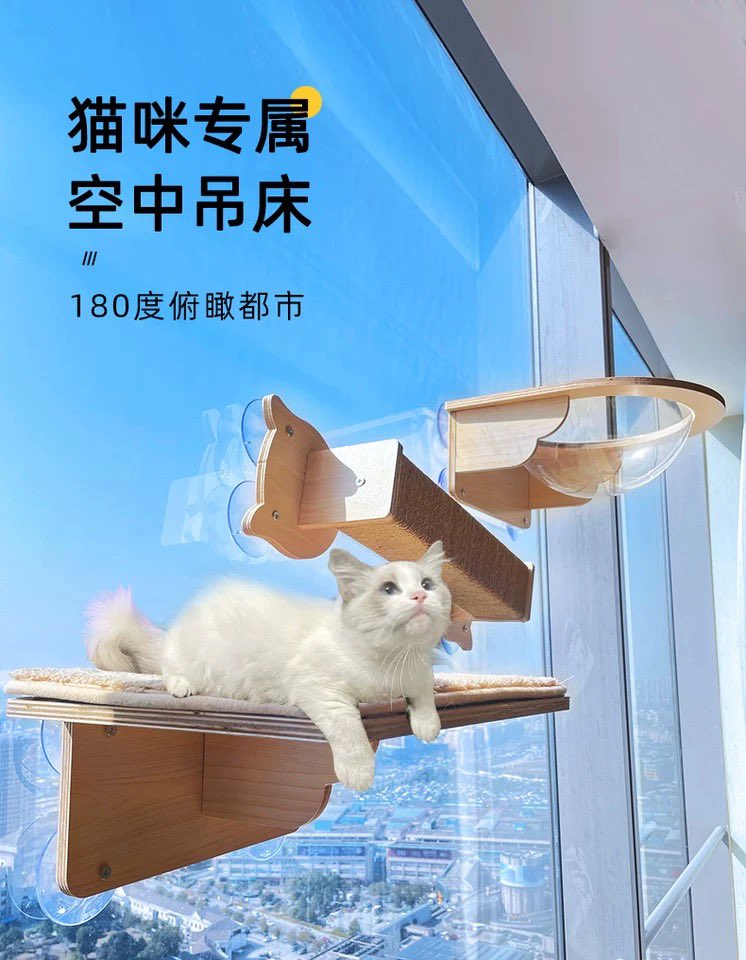 LOFFEPET Lina (@loffepetl) on Twitter photo 