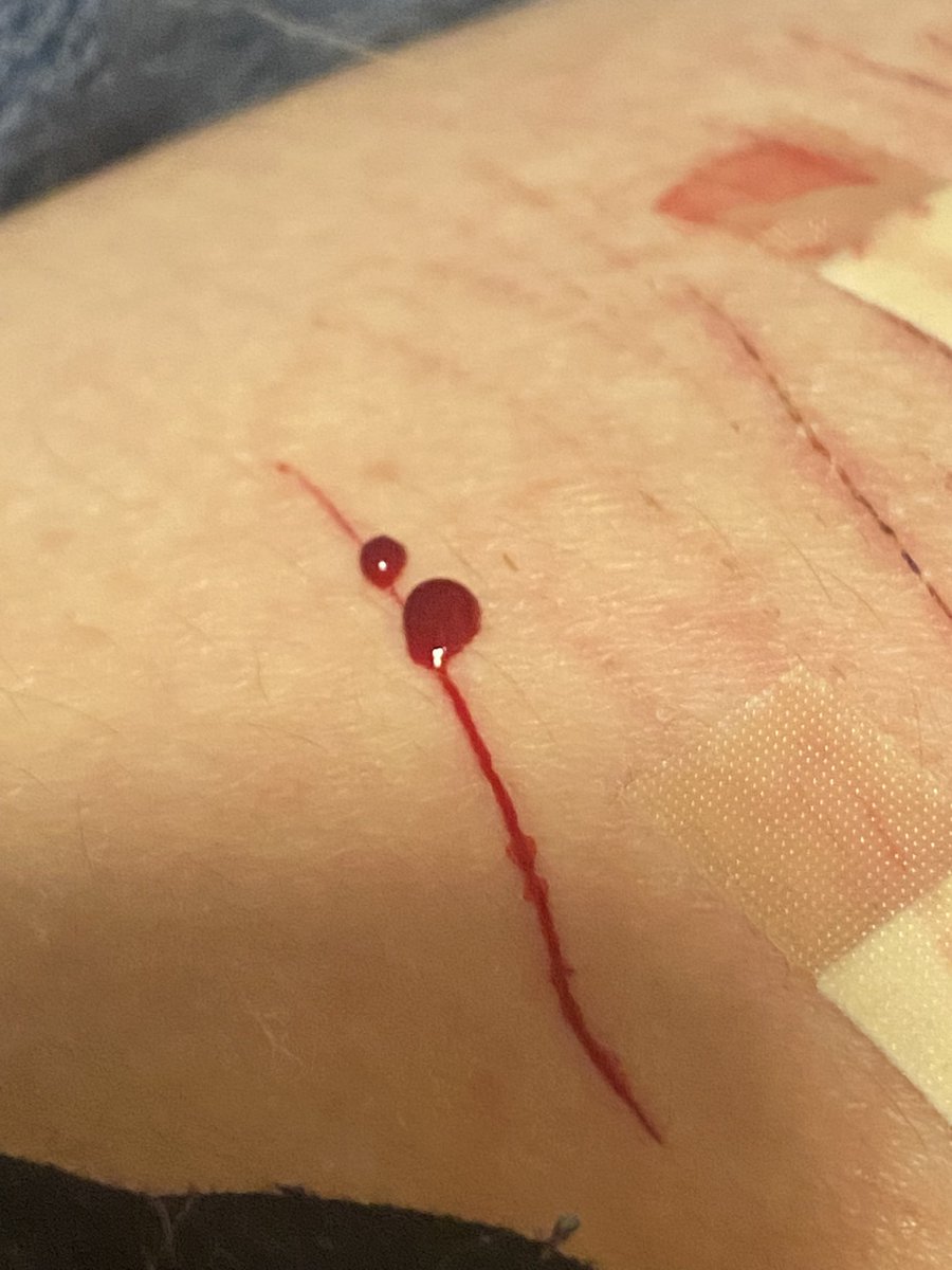 starv4them's tweet photo. my first big styro! i usually do babies so im happy :)! 

🏷 styrotwt catscratchtwt shtwt goretwt barcodetwt sliceytwt https://t.co/PWqGX9SOvN