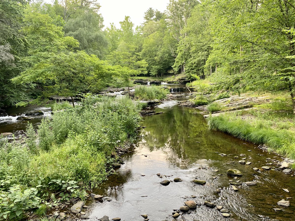 Conductor222's tweet photo. Iโve crossed into the Promised Land! Good evening from a mountainy, cool, & relaxed location near the Poconos. Iโll spend my day off here tomorrow. 63ยฐ and perfect! #Poconos #PA #dayoff #minication #relax #distraction #mountains #clergyretreatday #sabbath #metime https://t.co/DA6SDKmGcv