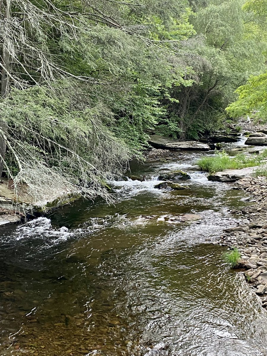 Conductor222's tweet photo. Iโve crossed into the Promised Land! Good evening from a mountainy, cool, & relaxed location near the Poconos. Iโll spend my day off here tomorrow. 63ยฐ and perfect! #Poconos #PA #dayoff #minication #relax #distraction #mountains #clergyretreatday #sabbath #metime https://t.co/DA6SDKmGcv
