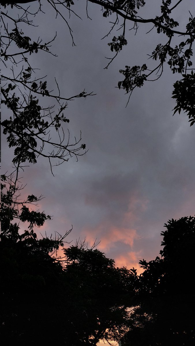 ✨️Una bonita tarde✨️