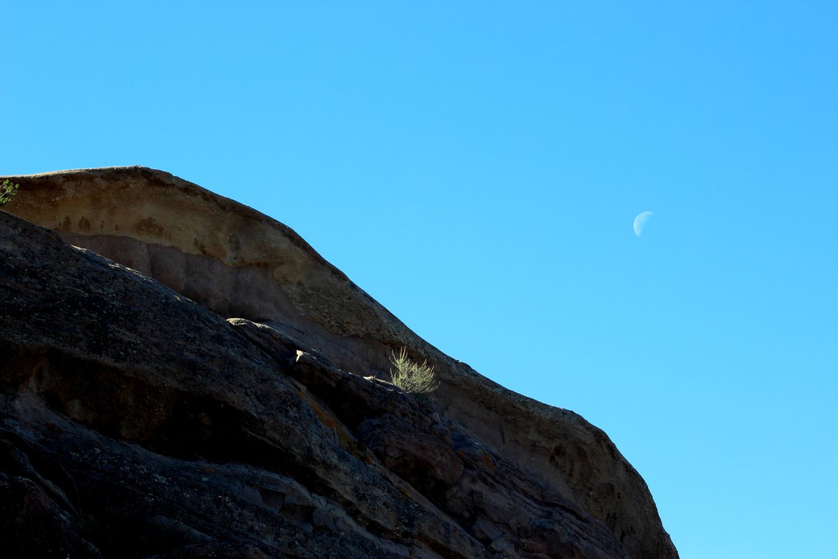 DavidAffray's tweet photo. Thank you for your #1linewed support!
#RestoreTheMoon
@janrayestevens
@RebBassWrites
@janwriter2
@LLaaksoWriter
@akcaggiano
@Write2Fite
@Jason_H_Abbott
@LexiIsAWriter https://t.co/7WGxUs0u5L