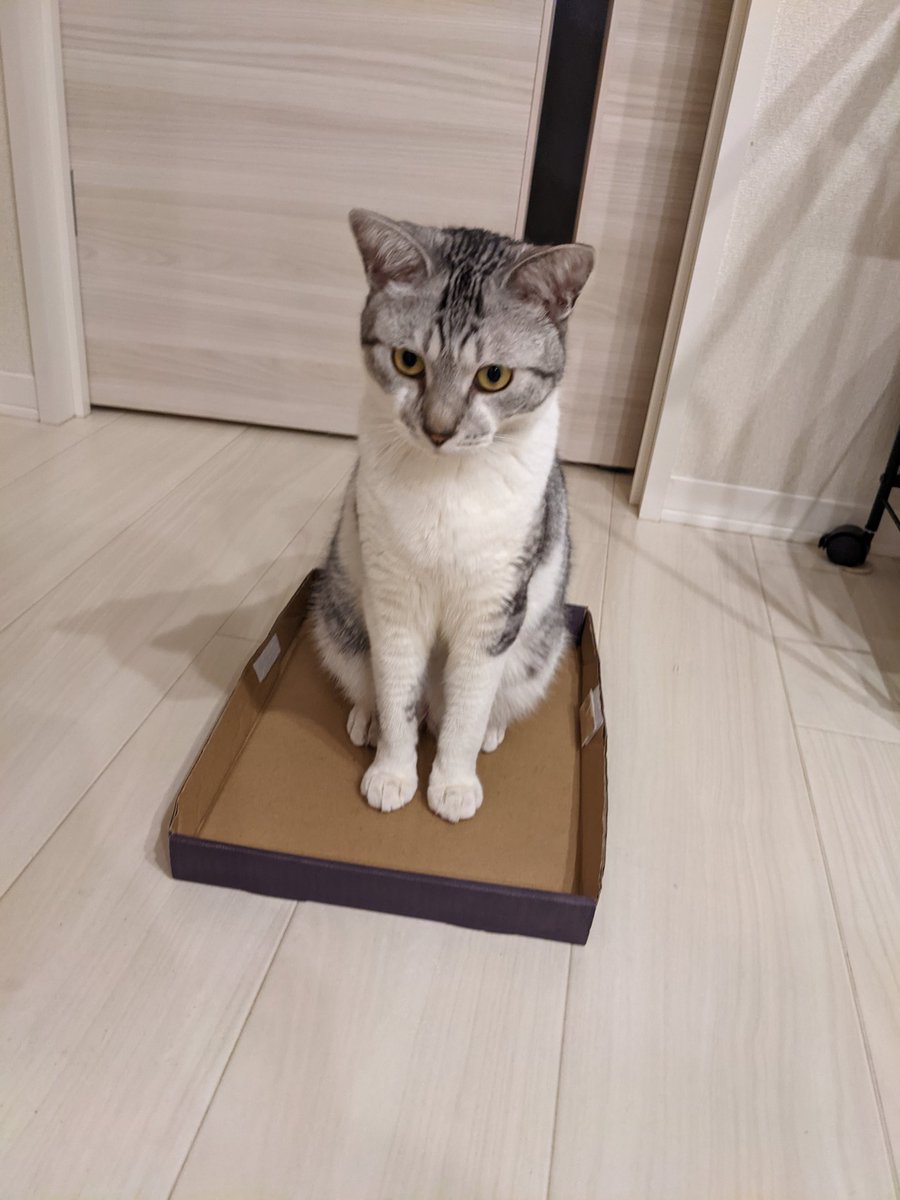 あのー、蓋戻したいんですが