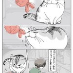 なんとも言えない反応･･･!いつものとは違う猫じゃらしへの反応を描いた猫漫画が話題に!