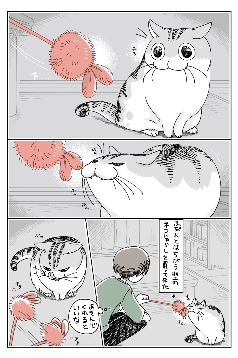 なんとも言えない反応･･･！いつものとは違う猫じゃらしへの反応を描いた猫漫画が話題に！