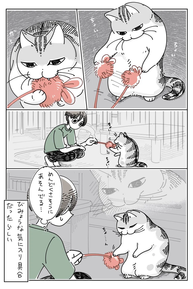 なんとも言えない反応･･･！いつものとは違う猫じゃらしへの反応を描いた猫漫画が話題に！