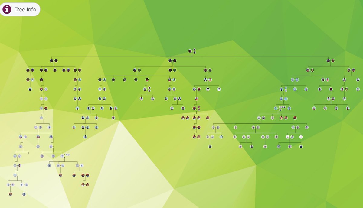 Neish39's tweet photo. Current family tree in the sims using the Plum Tree App π
https://t.co/tisxodPAq8
#sims4 #ts4 #sims4tree #TheSims4 #plumtreeapp https://t.co/2s8irQzHWY