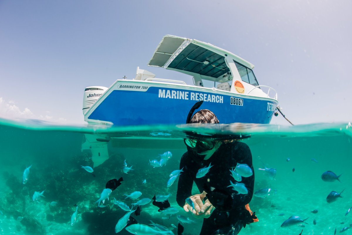 Dr. Kate Quigley (@la__cientifica) on Twitter photo 📡Fully funded #PhD at <a href="/minderoo/">Minderoo Foundation</a> <a href="/uwaoceans/">UWA Oceans Institute</a> <a href="/ExmouthResearch/">Exmouth Research Lab</a>
🪸Climate Refugia for Conservation 🐟
Person should have interest/experience in molecular ecology/modelling, to deliver outcomes for protection of keystone species along WA + Indian Ocean #coralreefs #seagrass
🧵 👇 📡Fully funded #PhD at <a href="/minderoo/">Minderoo Foundation</a> <a href="/uwaoceans/">UWA Oceans Institute</a> <a href="/ExmouthResearch/">Exmouth Research Lab</a>
🪸Climate Refugia for Conservation 🐟
Person should have interest/experience in molecular ecology/modelling, to deliver outcomes for protection of keystone species along WA + Indian Ocean #coralreefs #seagrass
🧵 👇
