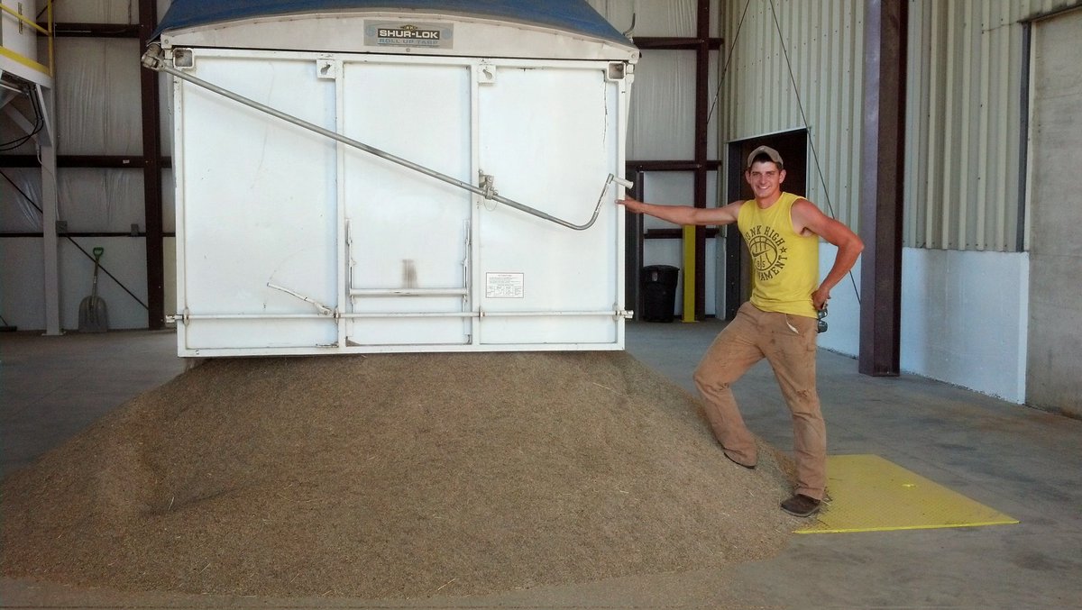 ryegrass4's tweet photo. The good old days! https://t.co/iSe3TZch4l