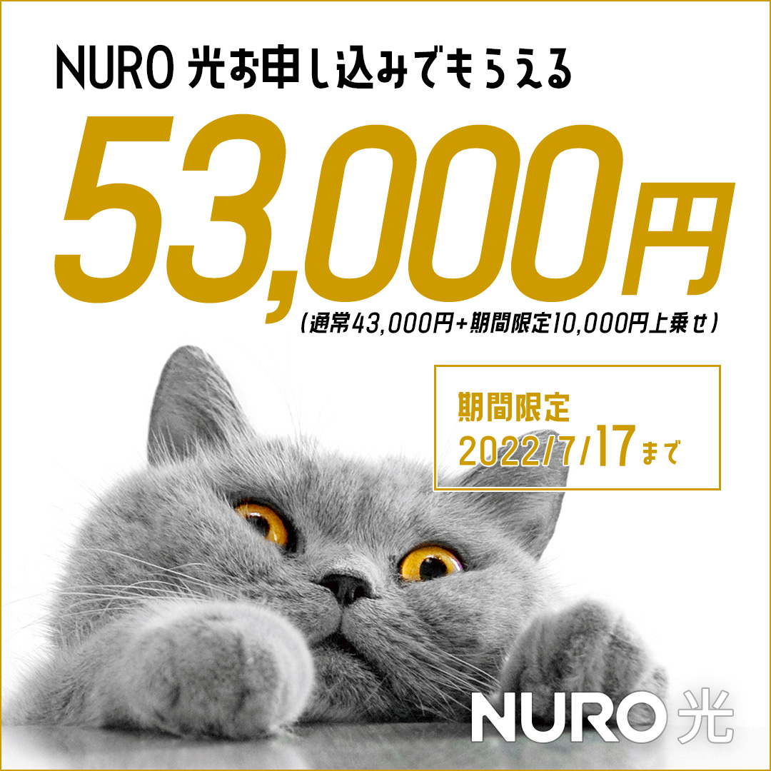 NUROhikari_Sony's tweet photo. ━━━━━━━━━━━
おトクに乗り換えたい！
━━ｖ━━━━━━━━

そんな都合のいい話あるわけ…

あった❗❓

｟＃NURO光｠は
通常43,000円から今だけ上乗せ1万円キャッシュバック！
さらに特典も…？