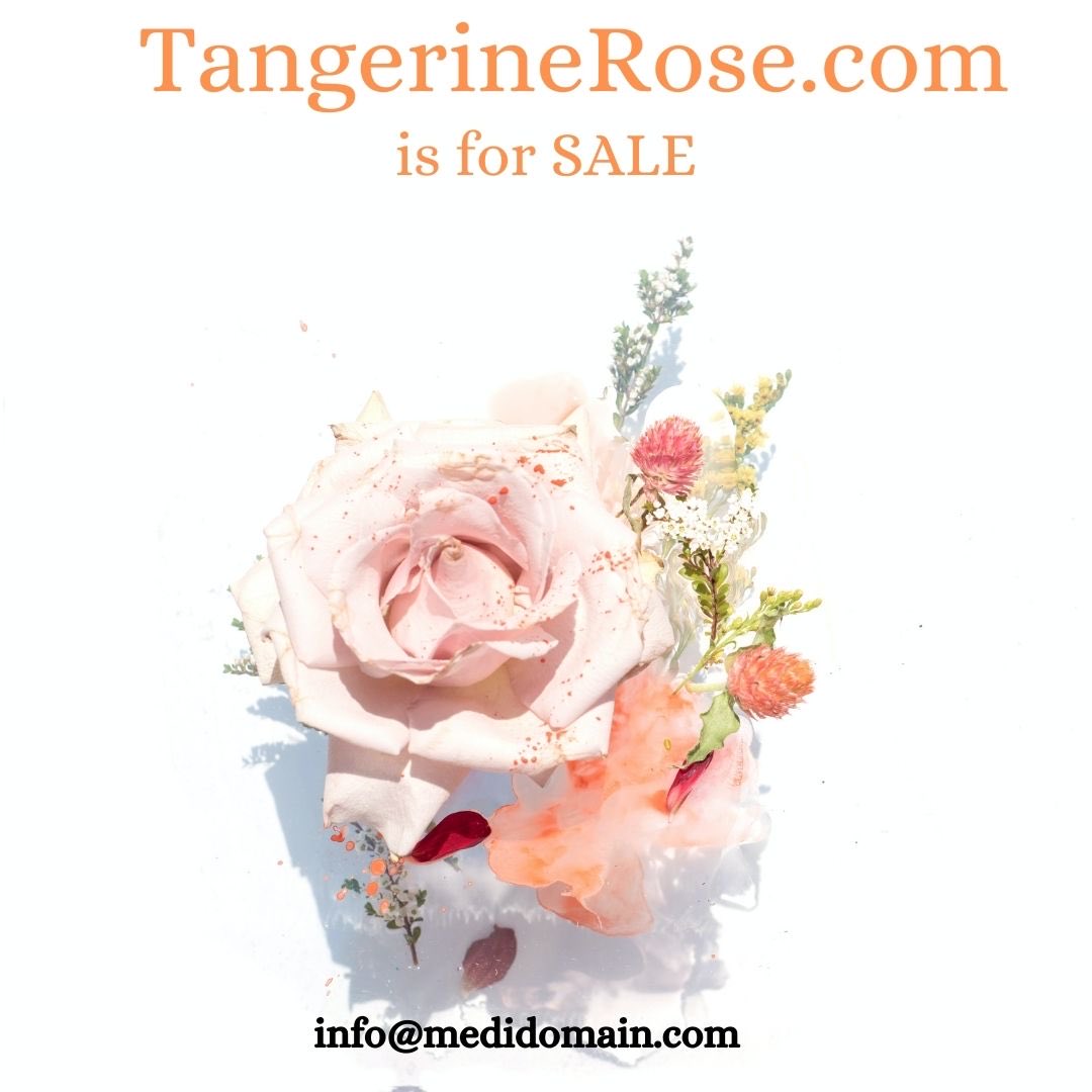 MediDomain's tweet photo. https://t.co/VTr2yOoIMb is for SALE

#Tangerine #rose #fleuriste #flowers #perfume #nft #btc https://t.co/iPu74y9Nq8