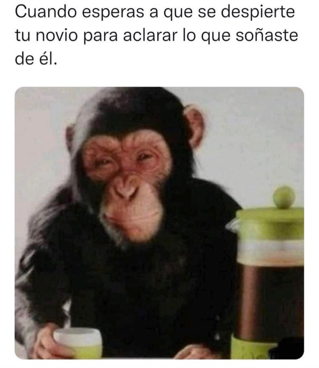 JorgeAv6481's tweet photo. Ni en los sueños podemos ser inocentes jajajajajja https://t.co/Zu2GyCupKZ