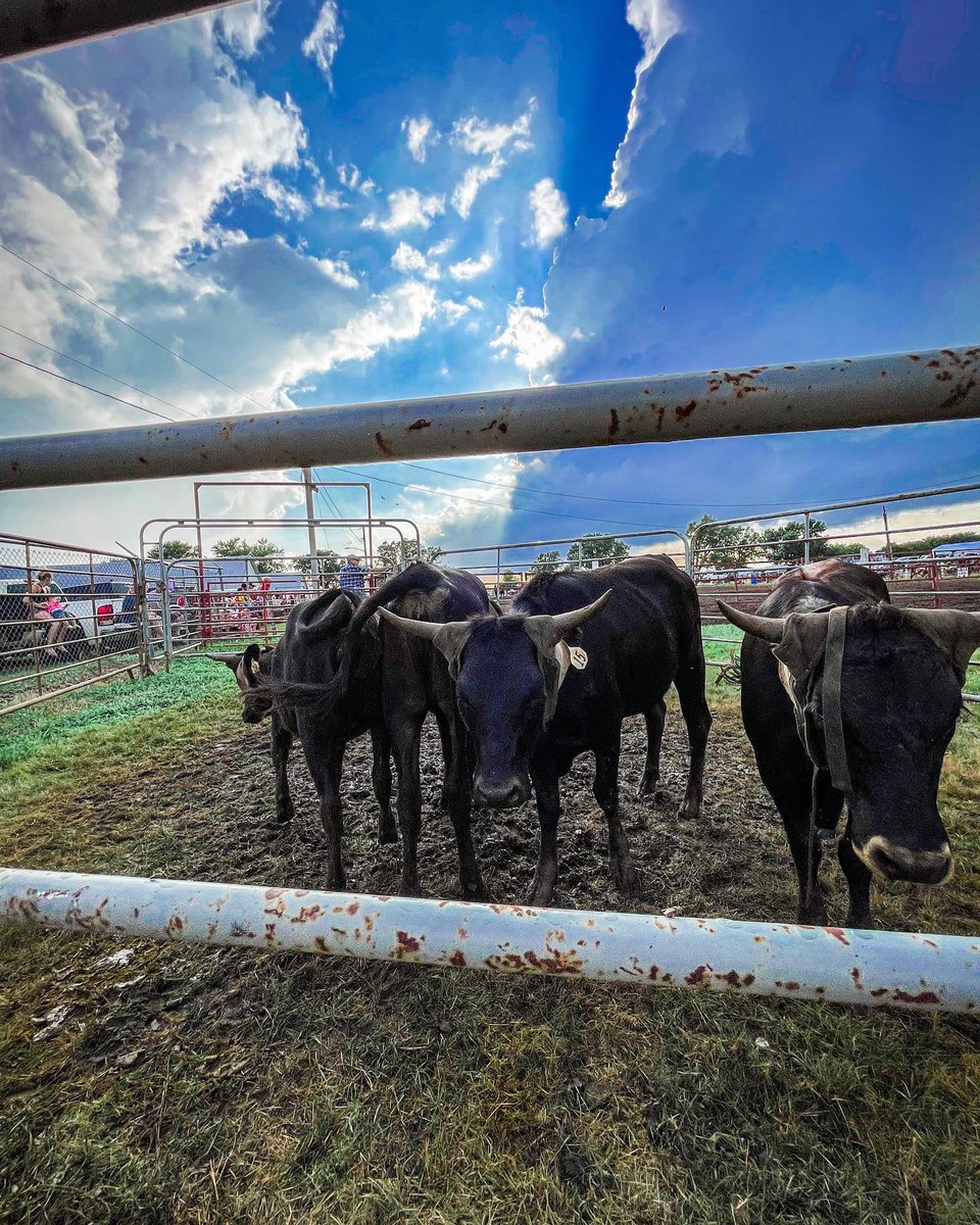 onlyottfarms's tweet photo. Small town county fair for the win🍻🇺🇸 https://t.co/p1QUCnwAg5