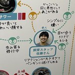 すみだ水族館のペンギン関係図…一番かわいそうだった人がこちら!