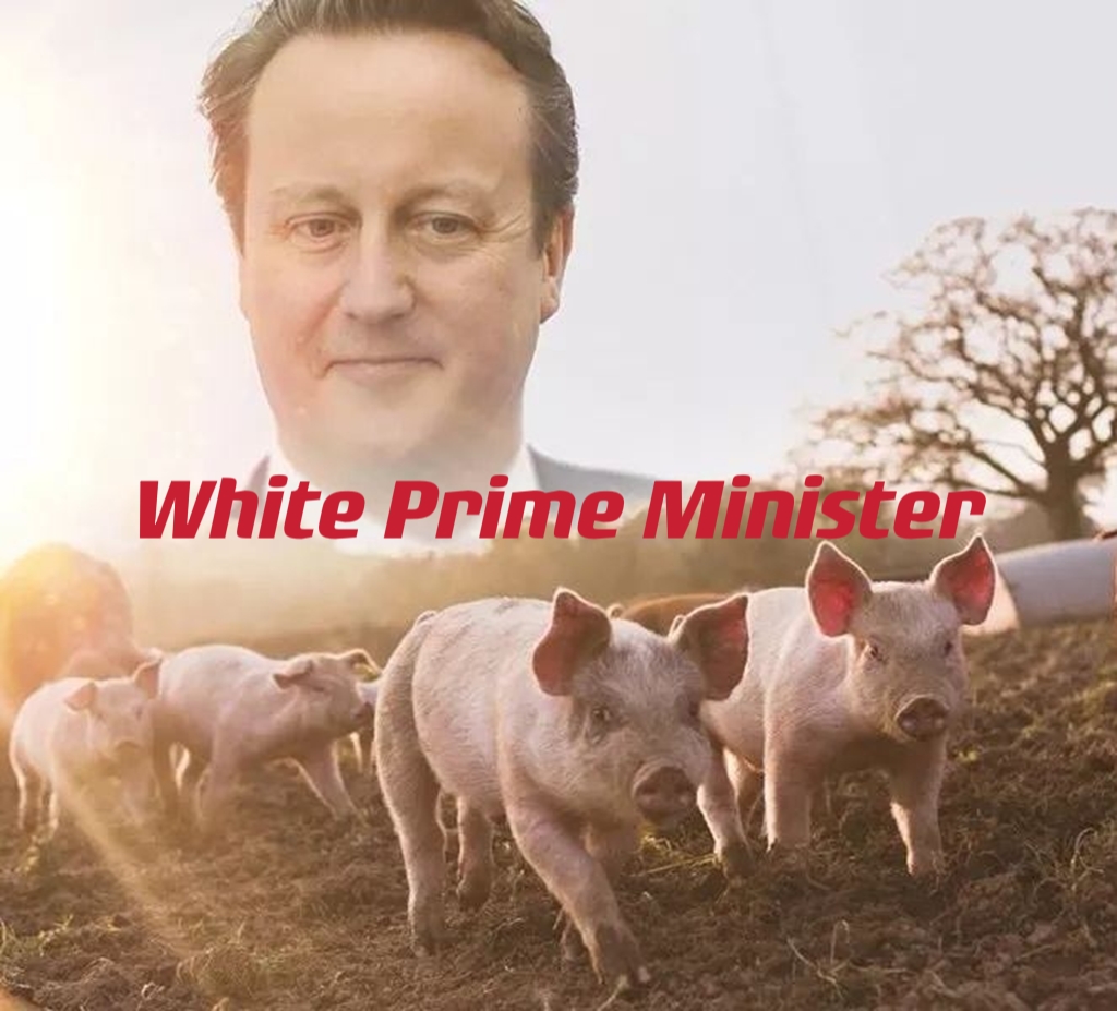 Jessica Pierce tweet media