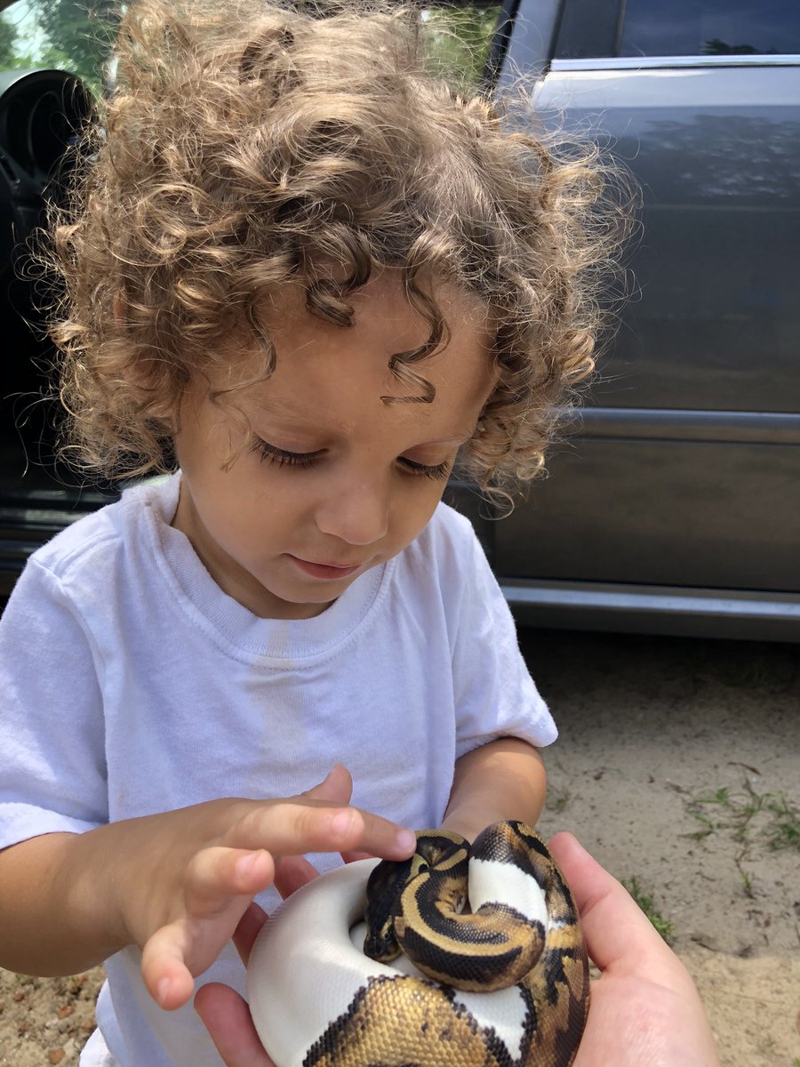 TheRealTsip's tweet photo. Lagertha &amp; My son 🤎🤍 #piebaldpython https://t.co/kUYZLgnWmR