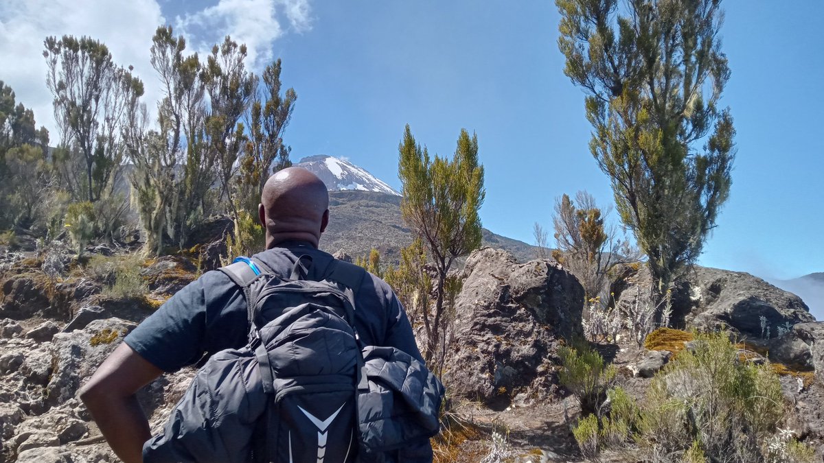 There isn't a bad view in our hiking adventures.
GET THERE WITH CONFIDENCE starts at spikytours.com
#adventuretravel #kilimanjaro