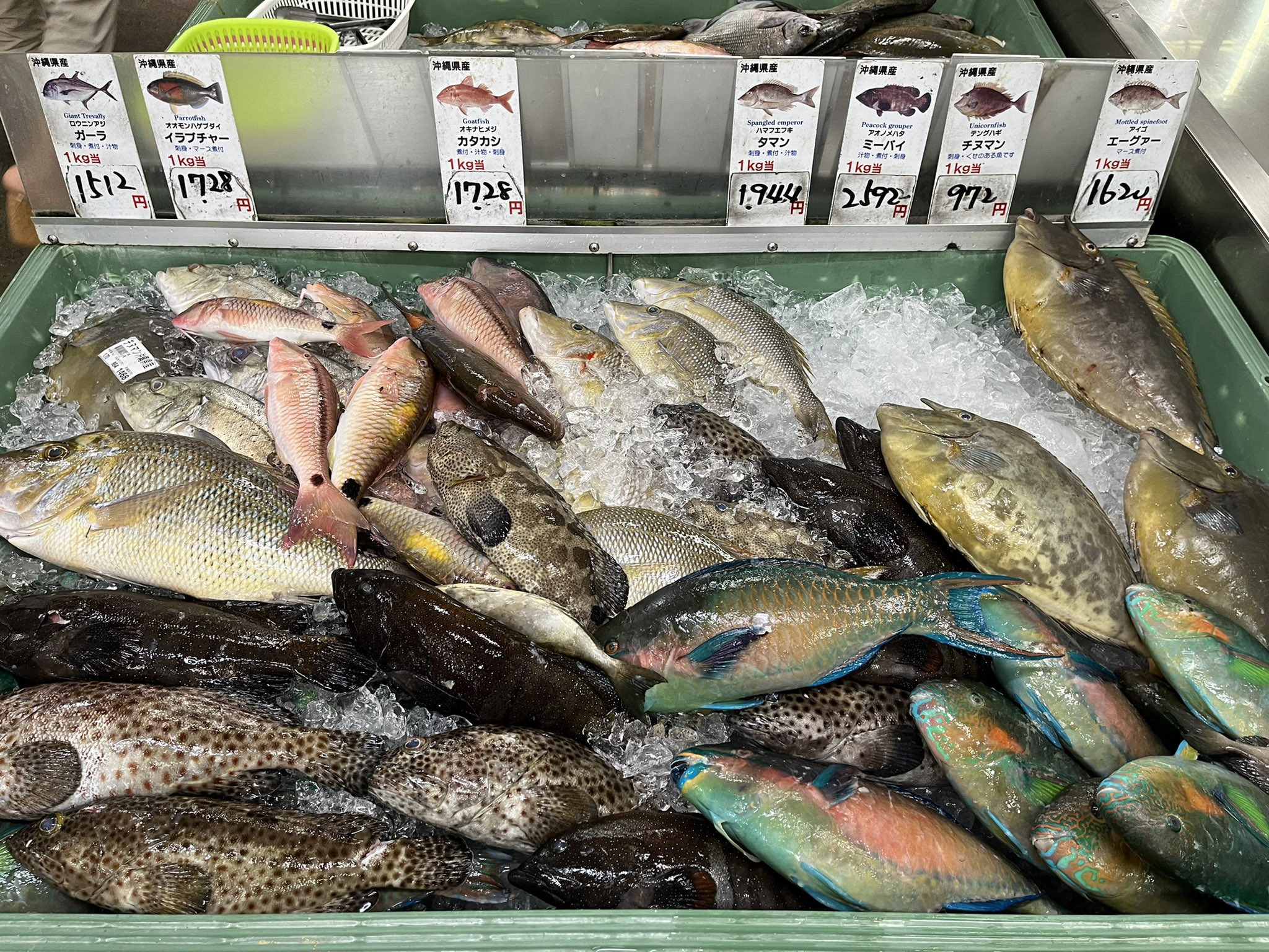やんばるおじさん お昼は魚のバター焼き定食 さっきまで店頭にあった 新鮮なお魚です 沖縄市泡瀬漁協パヤオ直売所 T Co Pqoqz3rm3i Twitter