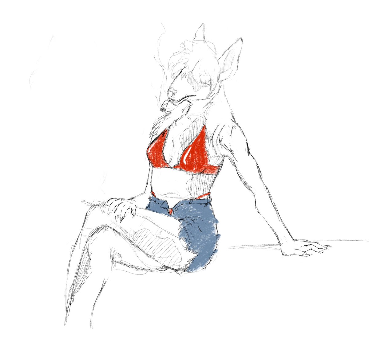 DejaDecayed's tweet image. Just some hot bull terrier