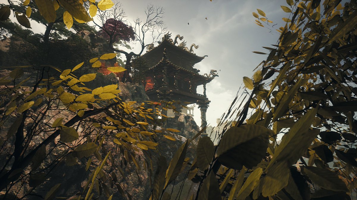 Adeilson tweet media