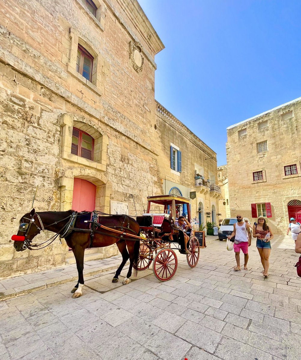 進撃の巨人の舞台となった場所
📍Medina（イムディーナ）
馬がパカパカゆーて歩きよる🐴
#マルタ留学 #進撃の巨人 #マルタ