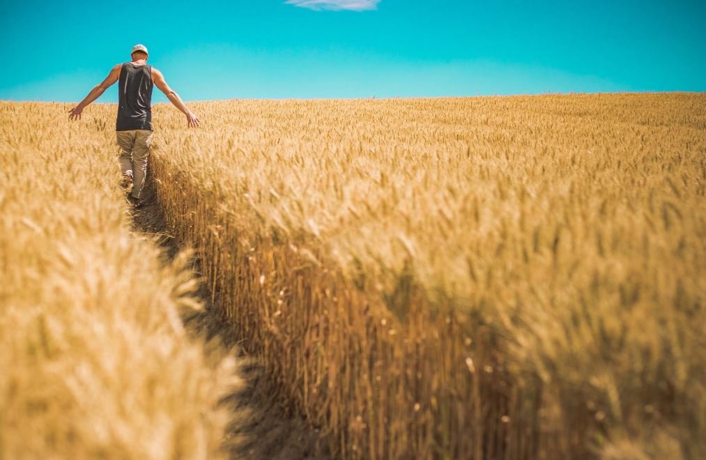 🌾The agricultural sector will increasingly need to adopt new technologies and entrepreneurial flair to provide secondary income, along with more flexible land use to combat weather extremes such as floods and drought, says @Flinders scimex.org/newsfeed/clima…