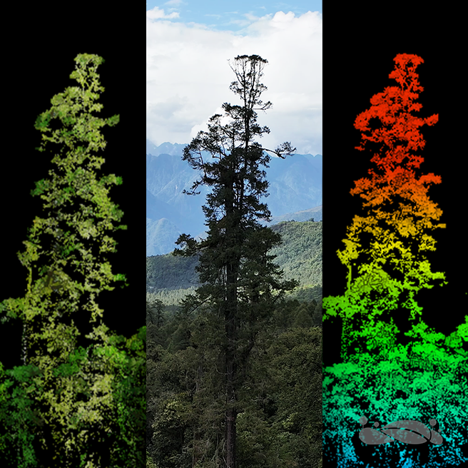GreenValleyINTL's tweet photo. Accomplishing big things with partners like @VelodyneLidar🌲Read how GVI #LiDAR devices makes these projects possible! #LiBackpack + #LiAIRv70

#Himalayas #EnvironmentalServices #Forestry #Research #Sustainability #RemoteSensing #Surveying #Drones #3DModel #3DMapping #PointCloud https://t.co/Hsecm2ll8c
