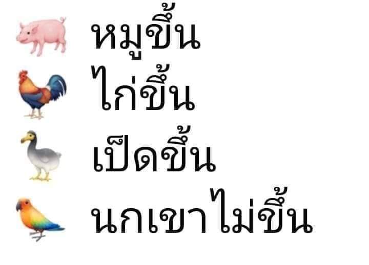 SmnPhu's tweet photo. คือความจริงเป็นสิ่งไม่ตายเราะ https://t.co/EmN6TORk3G