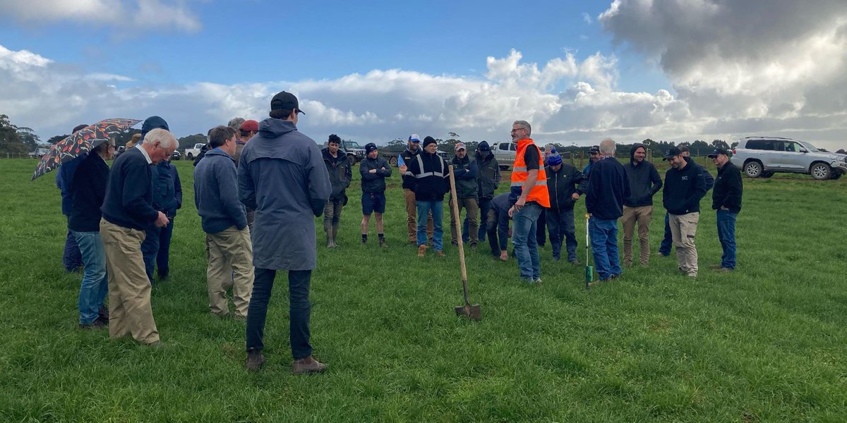 Pinion Advisory tweet media