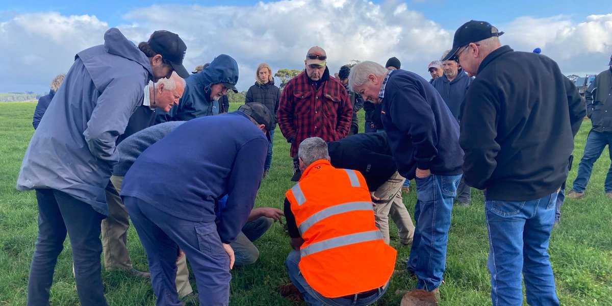 Pinion Advisory tweet media