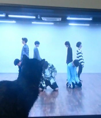 BLL_eddie's tweet photo. Eu ti entendo filha
#BTS https://t.co/b41tTt8PnC