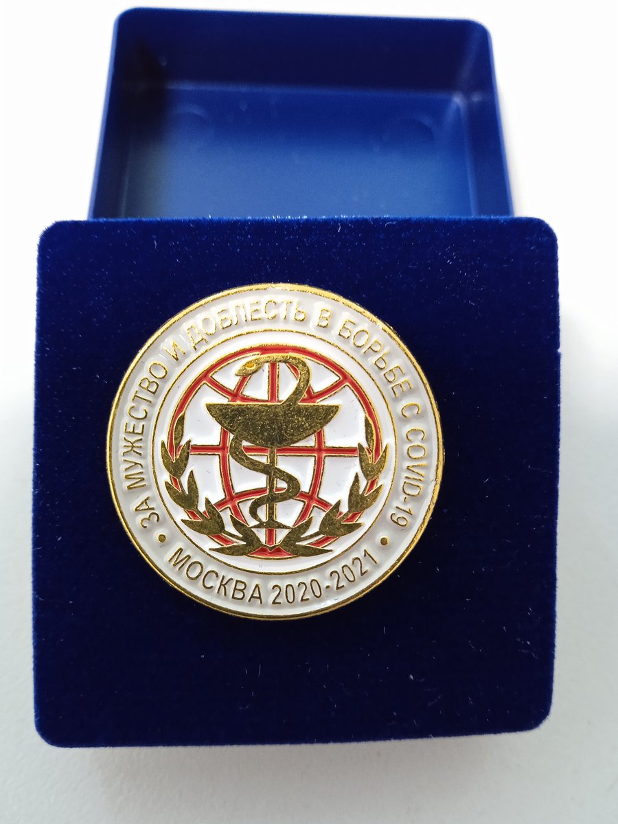 Лиза (@panda_knk) on Twitter photo 