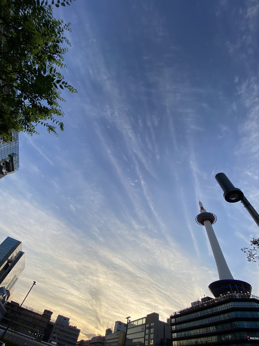 QTips6's tweet image. 