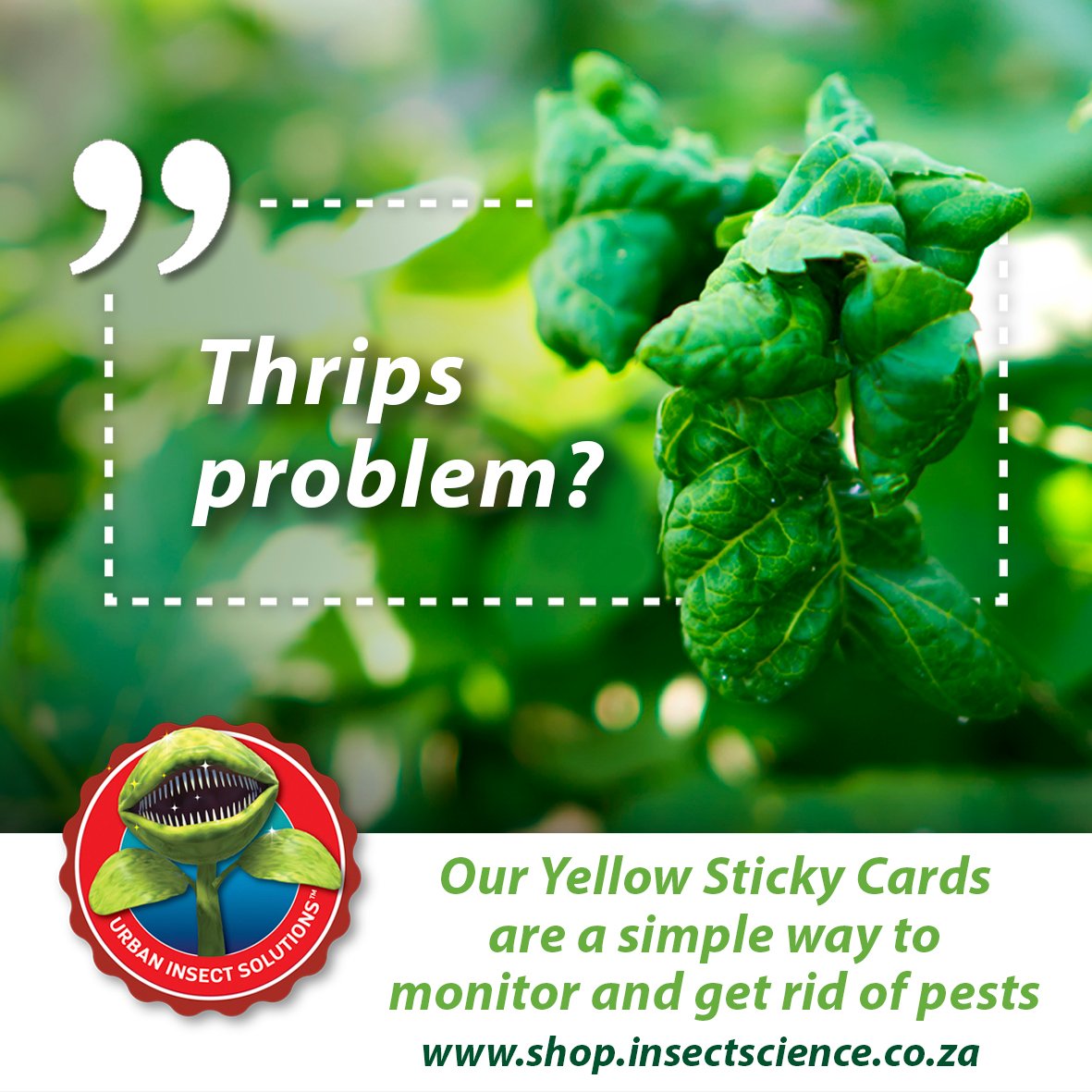 Insect Science tweet media