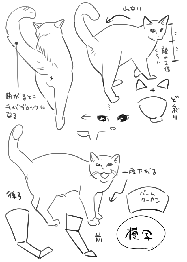 猫の練習 