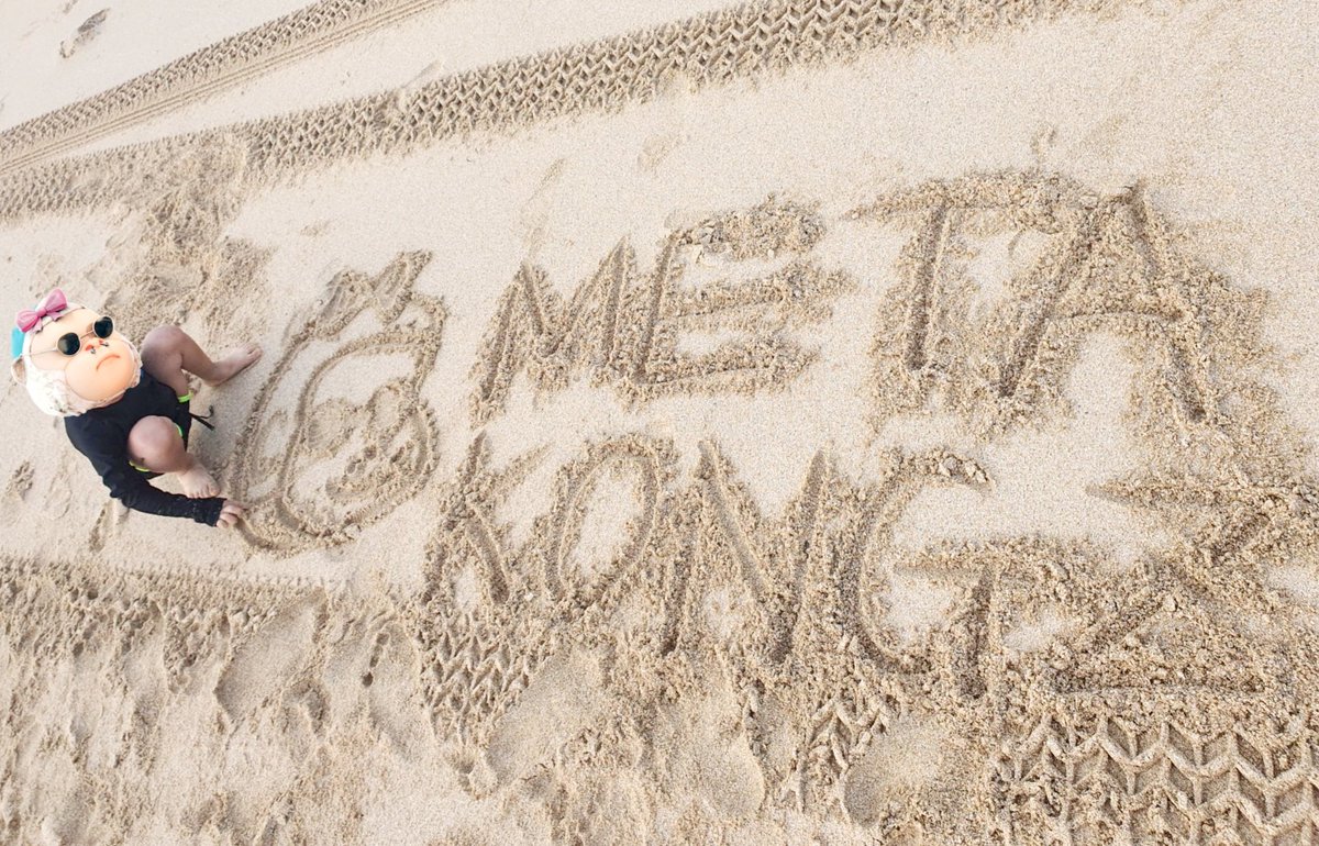 서해바다에 남긴
베콩즈의 흔적
#metakongz #nftlife