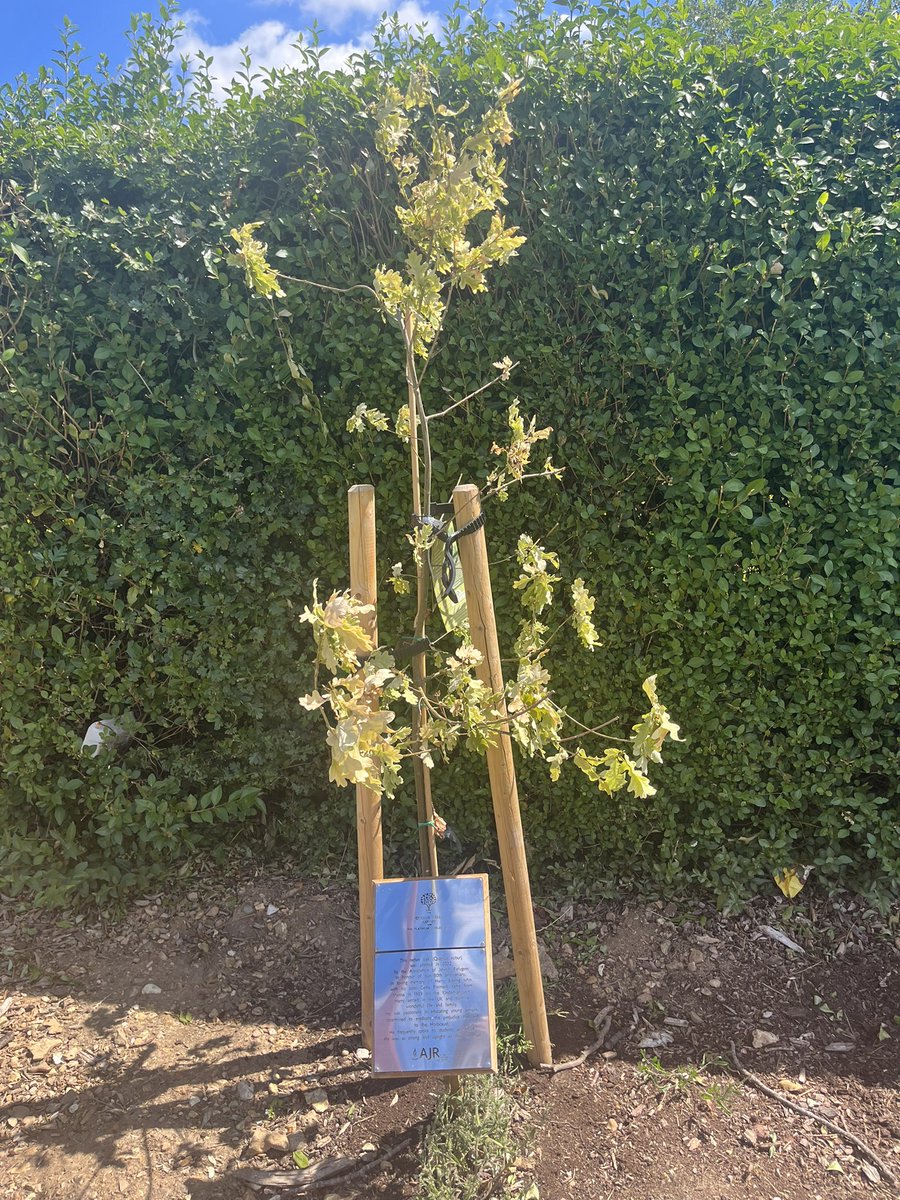 WBGS PRE department tweet media