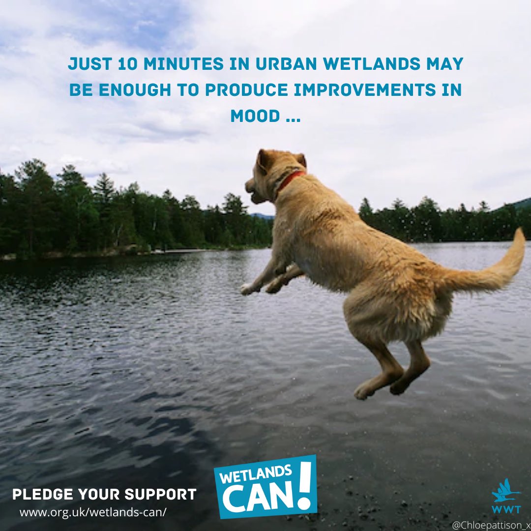 My first (but not last) entry to @OneMinuteBriefs @WWTworldwide #WetlandsCan