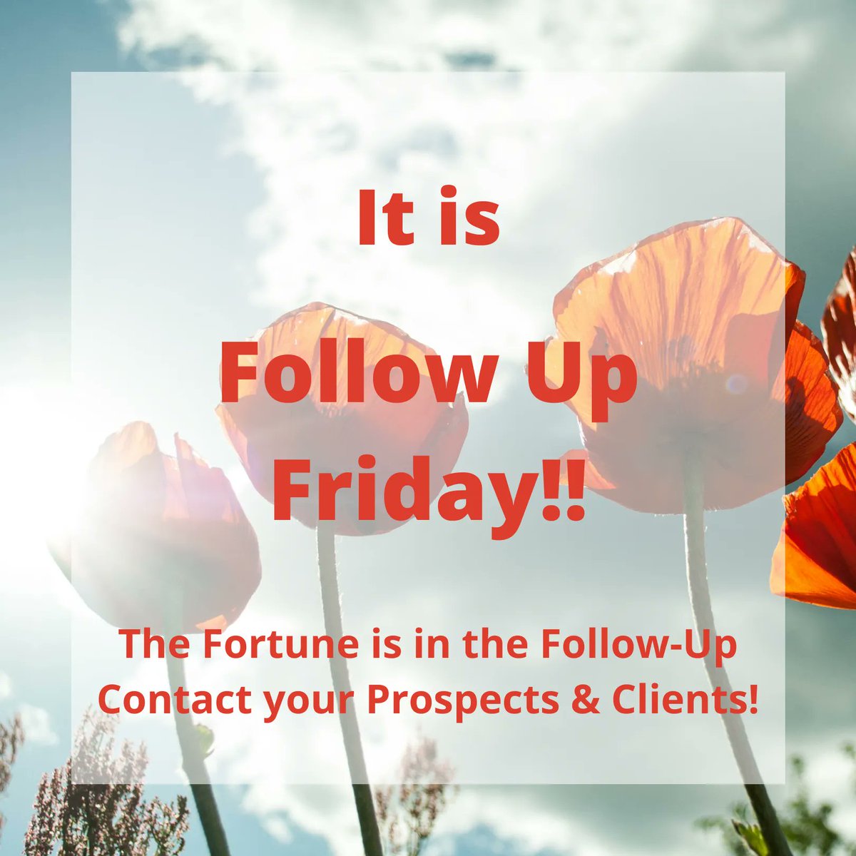 ldetoffol02's tweet photo. 🌞🌞Follow Up Friday! The fortune is in the Follow Up! Contact your prospects &amp; clients! 🌞🌞
#followup #FollowUpFriday #prospects #clients #fortuneinthefollowup #tigereyesolution #tes https://t.co/vV71gBn4V2