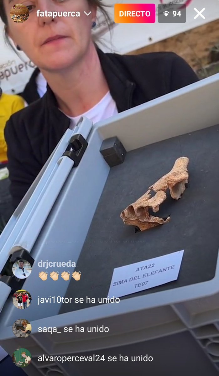 Darío Estraviz López tweet media