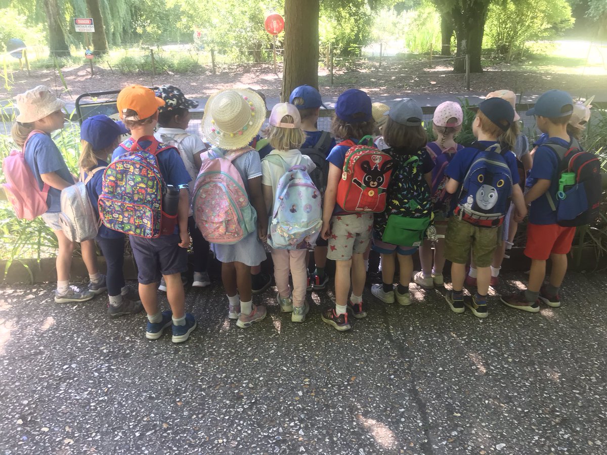 Selborne Church of England Primary tweet media