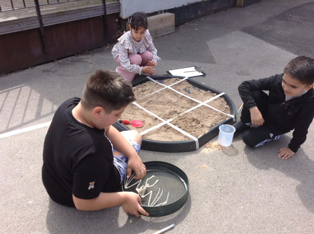 BPrimary's tweet photo. It's Achieve Day! Here are some archaeologists digging for artefacts in Mrs O'Donnell's history workshop! #AchieveDay #CareersDay #primarySMSC #primaryhistory https://t.co/vapRxkLbq8