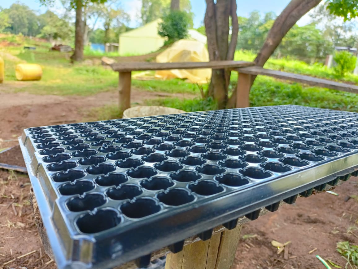 TransFarm Ventures tweet media