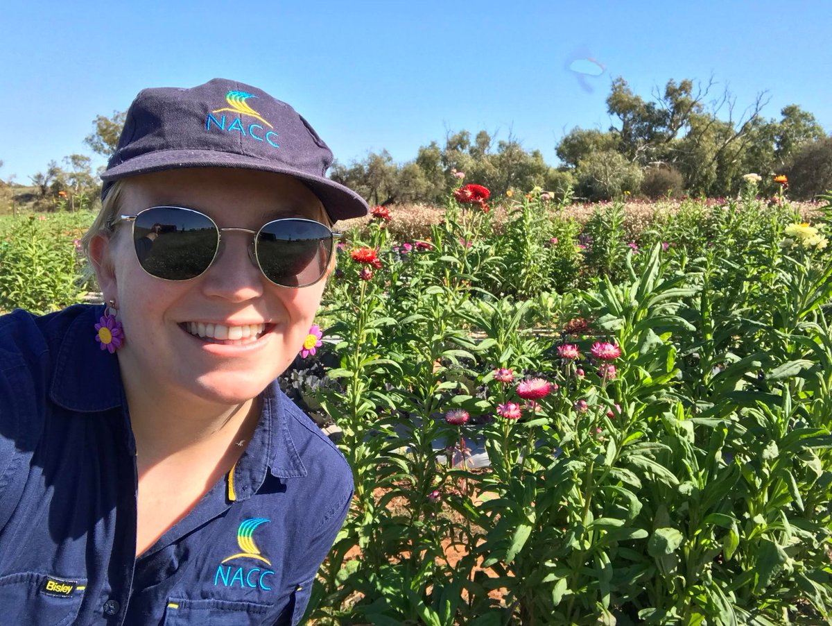 NACC_NRM's tweet photo. Today our Sus Ag star Anna was soaking up the sunshine in Isseka! 

Anna was installing sticky insect traps to collect data on the presence of beneficial bugs at Chally Bridge Farms. These traps will be monitored and replaced over the next 2 months. 💐
@StateNRMProgram https://t.co/72n0Qf3Uta